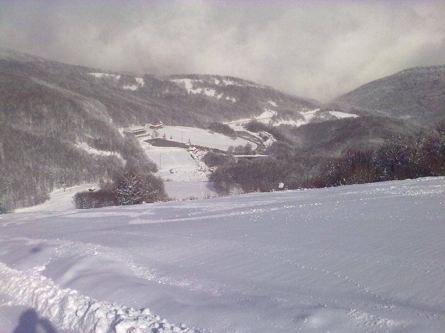 08022010690.jpg