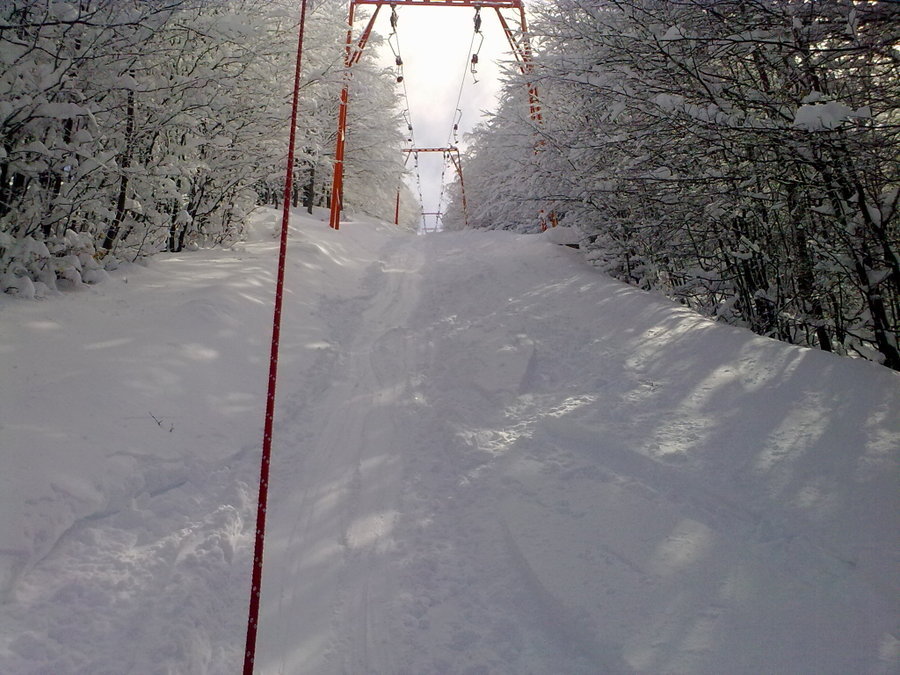 08022010692.jpg