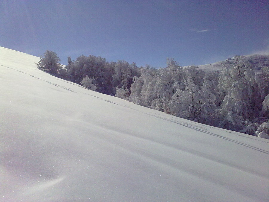 08022010694.jpg