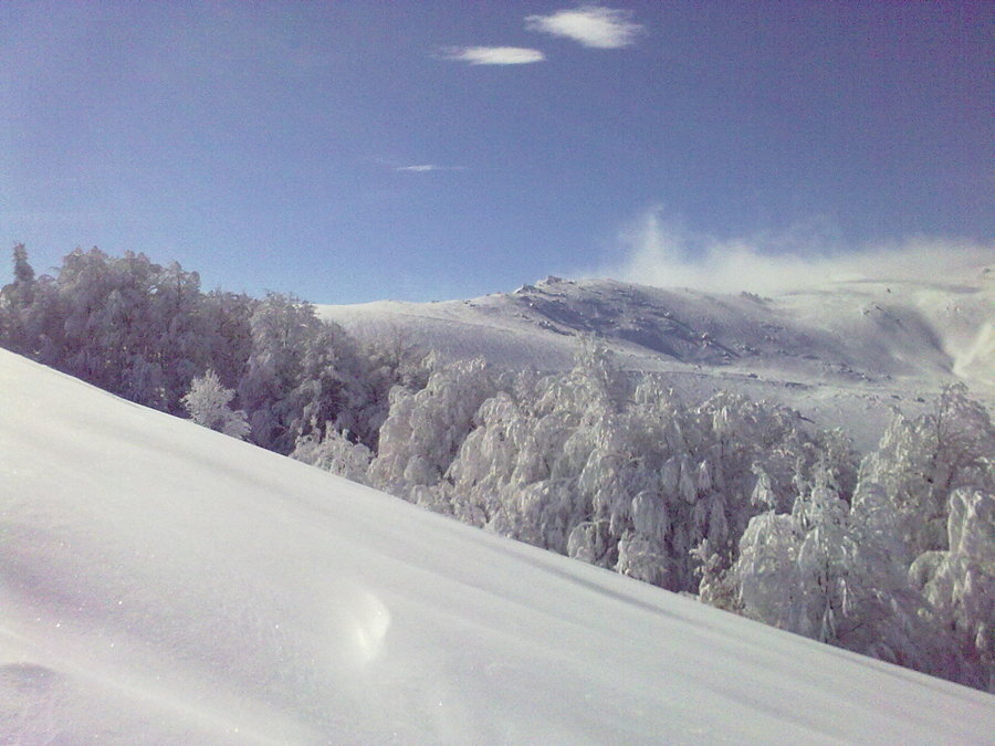 08022010695.jpg