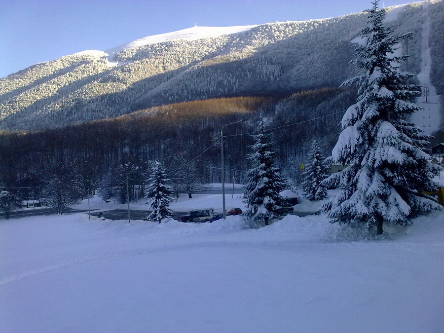 08022010698.jpg